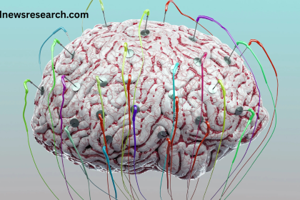 Neuroscience Behind Murderbot’s Complex Cyborg Brain