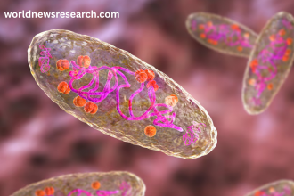 Black Death bacterium made less lethal by genetic tweak