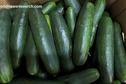 Cucumber Recall Widens: Target, Others Pull Products