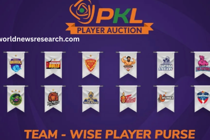 PKL Auction Report Card: Performance of All 12 Teams