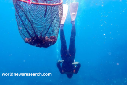 Real-Life Mermaid Divers: Amazing Underwater Skills & Genes