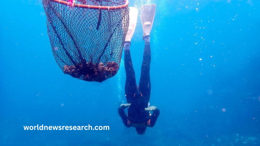 Real-Life Mermaid Divers: Amazing Underwater Skills & Genes