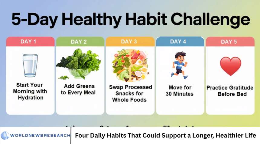 Four Daily Habits That Could Support a Longer, Healthier Life