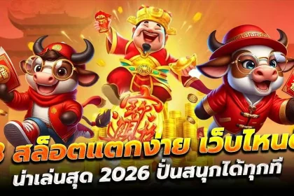 ตอนนี้หลายคนกำลังย้ายมาเล่น สล็อตเว็บตรง ไม่มีเอเย่นต์ กันเยอะมาก