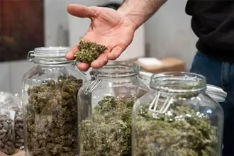 Your Go-To Choice for Fast Home Cannabis Delivery in Hartsdale