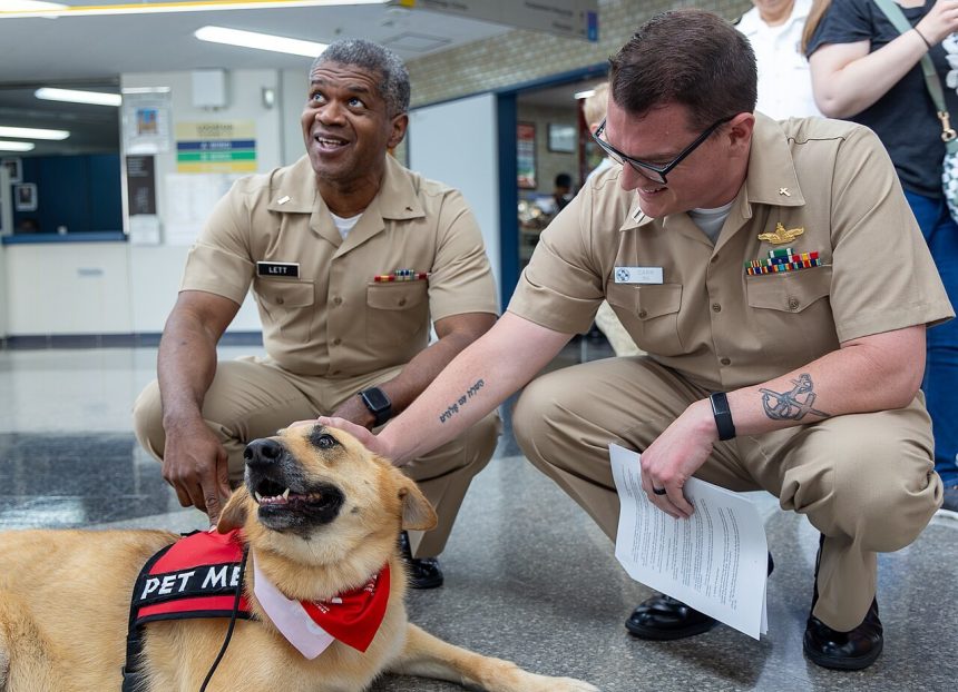 A therapy dog with its handlers in a clinical facility
